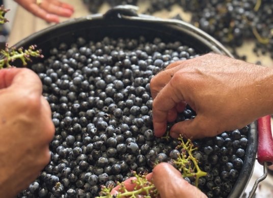 ateliers-vignerons-2-tour-de-rissac