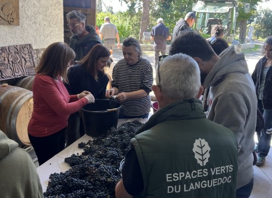 ateliers-vignerons-3-tour-de-rissac