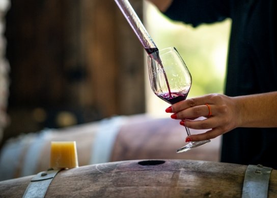 visites-et-degustations-2-tour-de-rissac